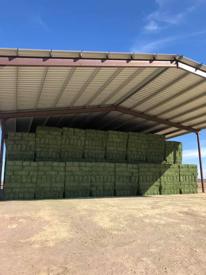 Rows of green hay bales stacked under an open metal shed