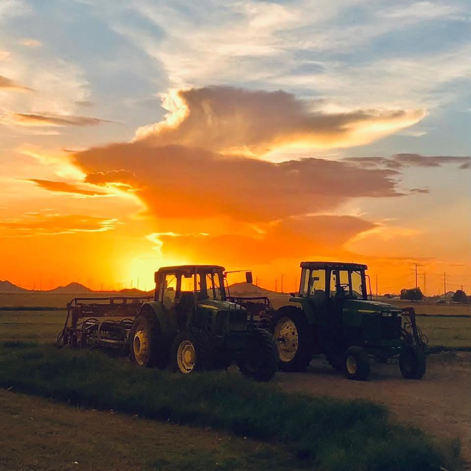 Two tractors parked in a field at sunset, one with equipment hitched behind it